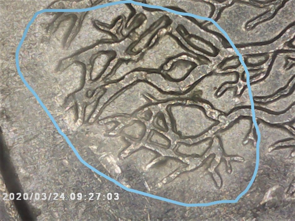 1999-Connecticut-Quarter,-Deemed-Error?